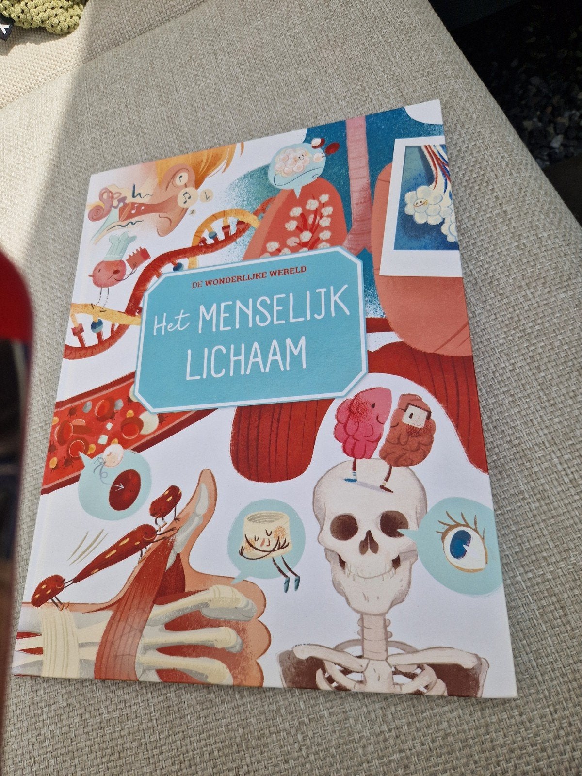 Het Menselijk Lichaam - De Wonderlijke Wereld, Boeken, Kinderboeken | Jeugd | onder 10 jaar, Ophalen of Verzenden, Zo goed als nieuw