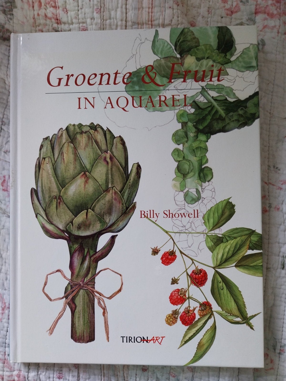 Groente & Fruit in Aquarel Billy Showell en Tante Brocante, Ophalen of Verzenden, Gelezen, Tekenen en Schilderen