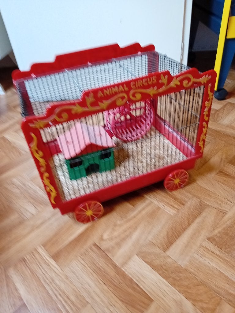 Circus Kooi, Dieren en Toebehoren, Knaagdieren en Konijnen | Hokken en Kooien, Kooi, Minder dan 75 cm, Zo goed als nieuw, Ophalen