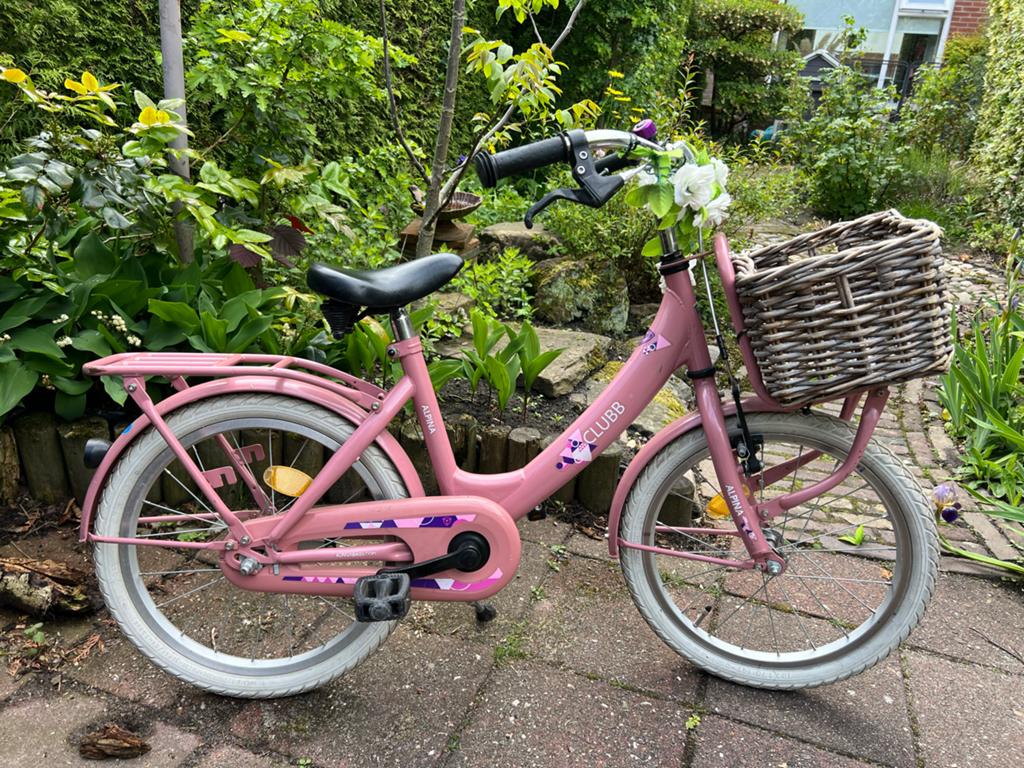 Alpina Clubb meisjesfiets 18 inch, Fietsen en Brommers, Ophalen, Gebruikt, 18 inch