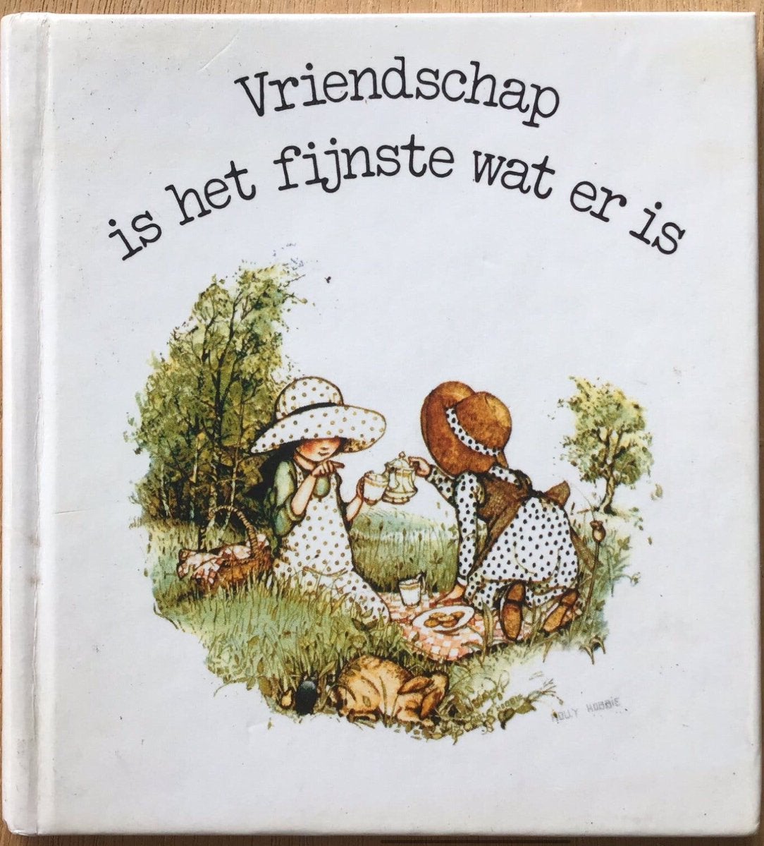Holly Hobbie boekje - Vriendschap is het fijnste wat er is, Ophalen of Verzenden, Overige typen