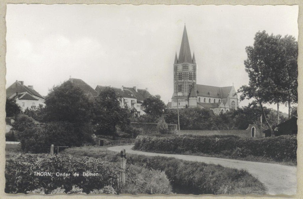 Thorn - Onder de bomen, Verzenden, 1940 tot 1960, Ongelopen, Limburg