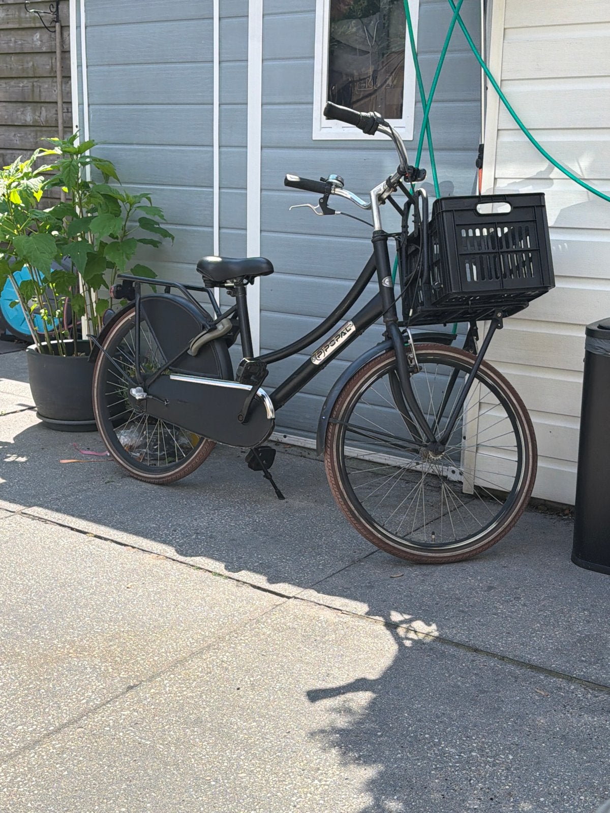 Popal Daily Dutch Basic kinderfiets - Zwart, Terugtraprem, Gebruikt, Versnellingen, 56 cm of meer