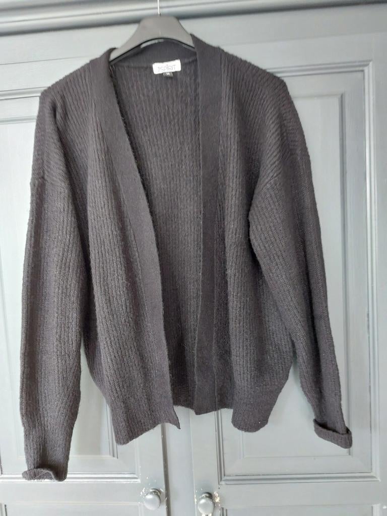 True Spirit Zwart Gebreid Vest Maat M, Maat 38/40 (M), Zwart, Ophalen of Verzenden, True Spirit