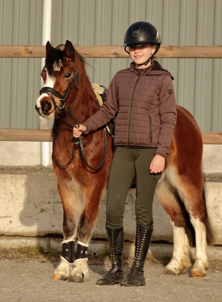 Lieve A pony te koop., Dieren en Toebehoren, Merrie, A pony (tot 1.17m), 3 tot 6 jaar, Recreatiepony