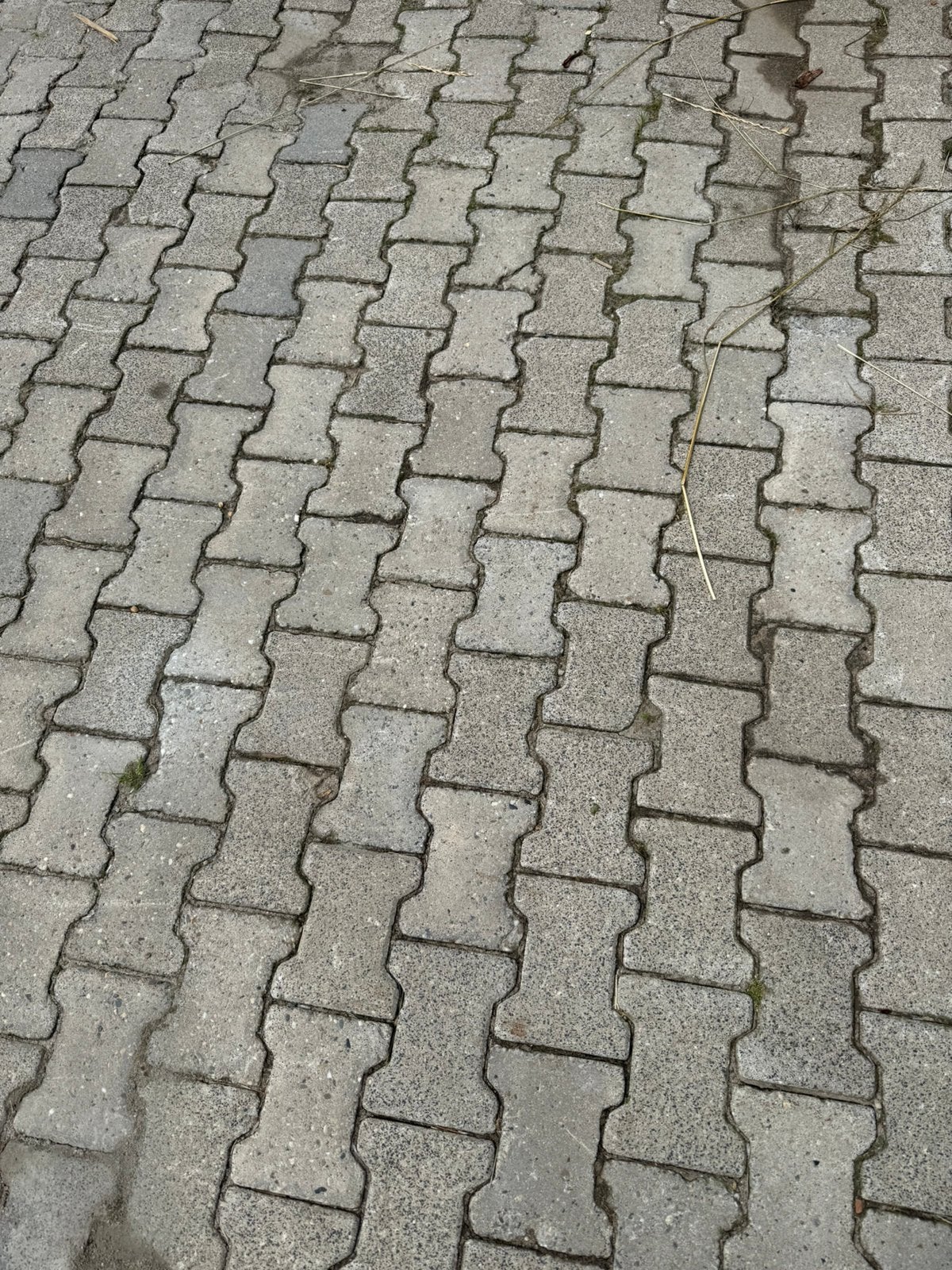 Gebruikte H klinkers gratis afhalen circa 100m2, Ophalen, Zo goed als nieuw, Beton, Klinkers