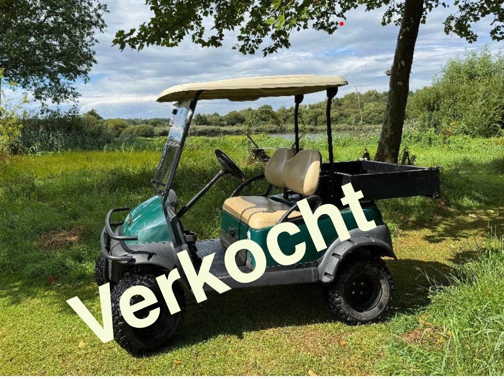Club Car Precedent Lynx 2016 Elektrische golfkar met laadbak, Ophalen