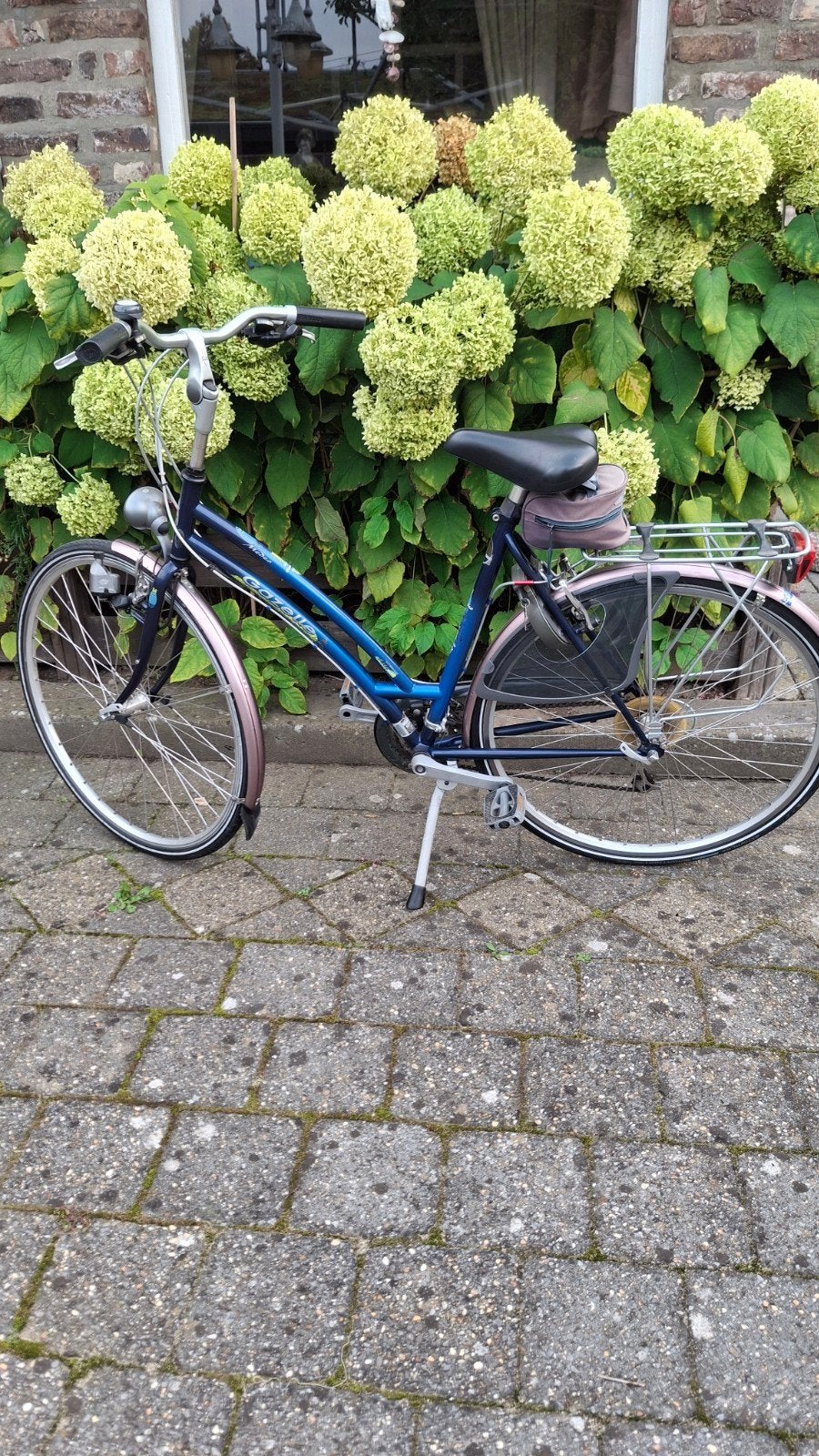 Gazelle Medeo damesfiets - Goed onderhouden, Ophalen, Velgrem, Versnellingen, Gazelle