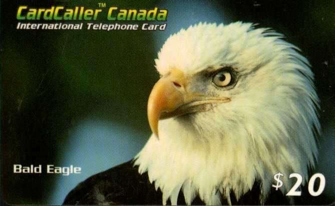 5 CANADA, Ophalen of Verzenden