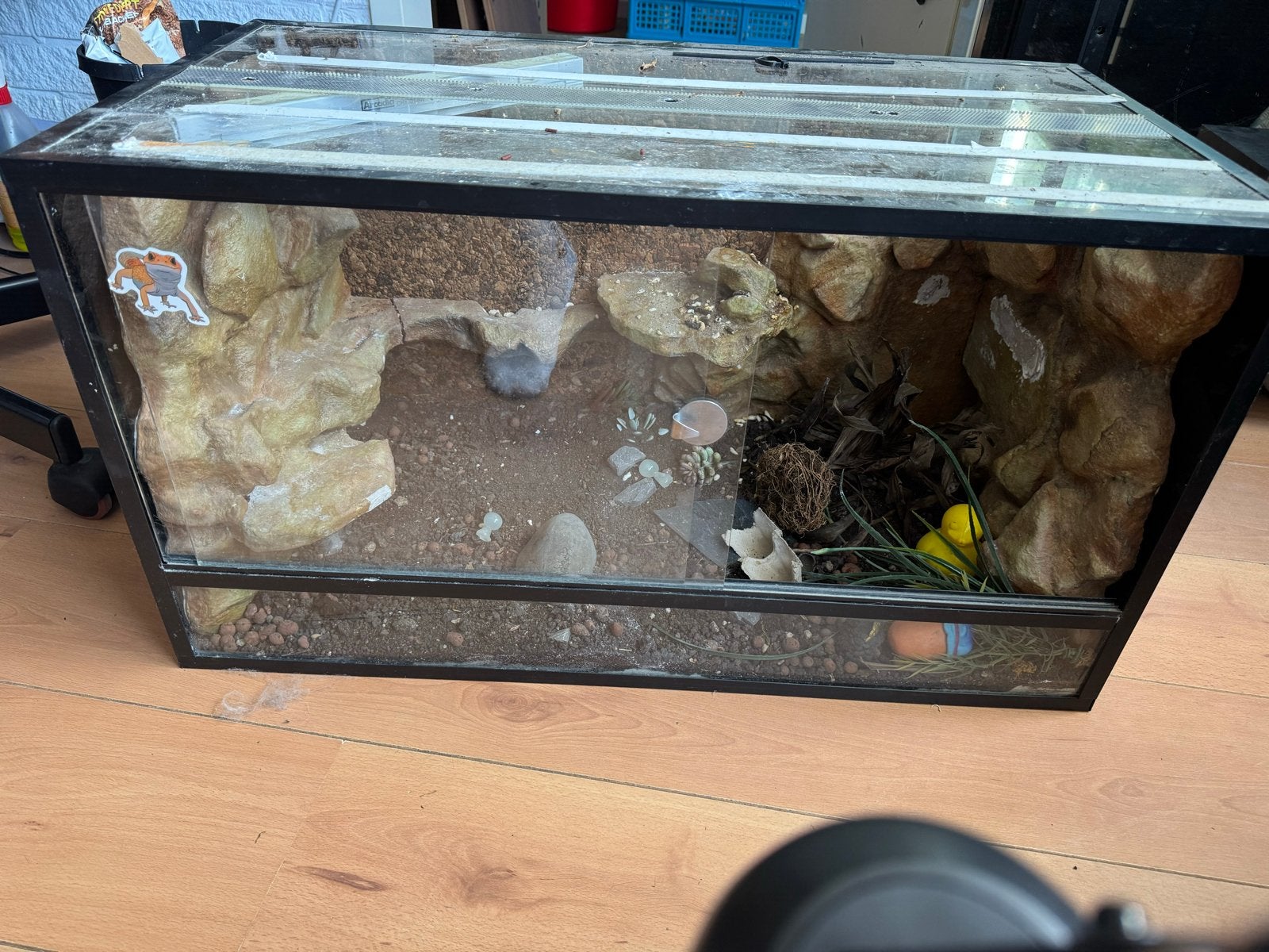 Terraruim voor Repiel/Amfibie, Ophalen