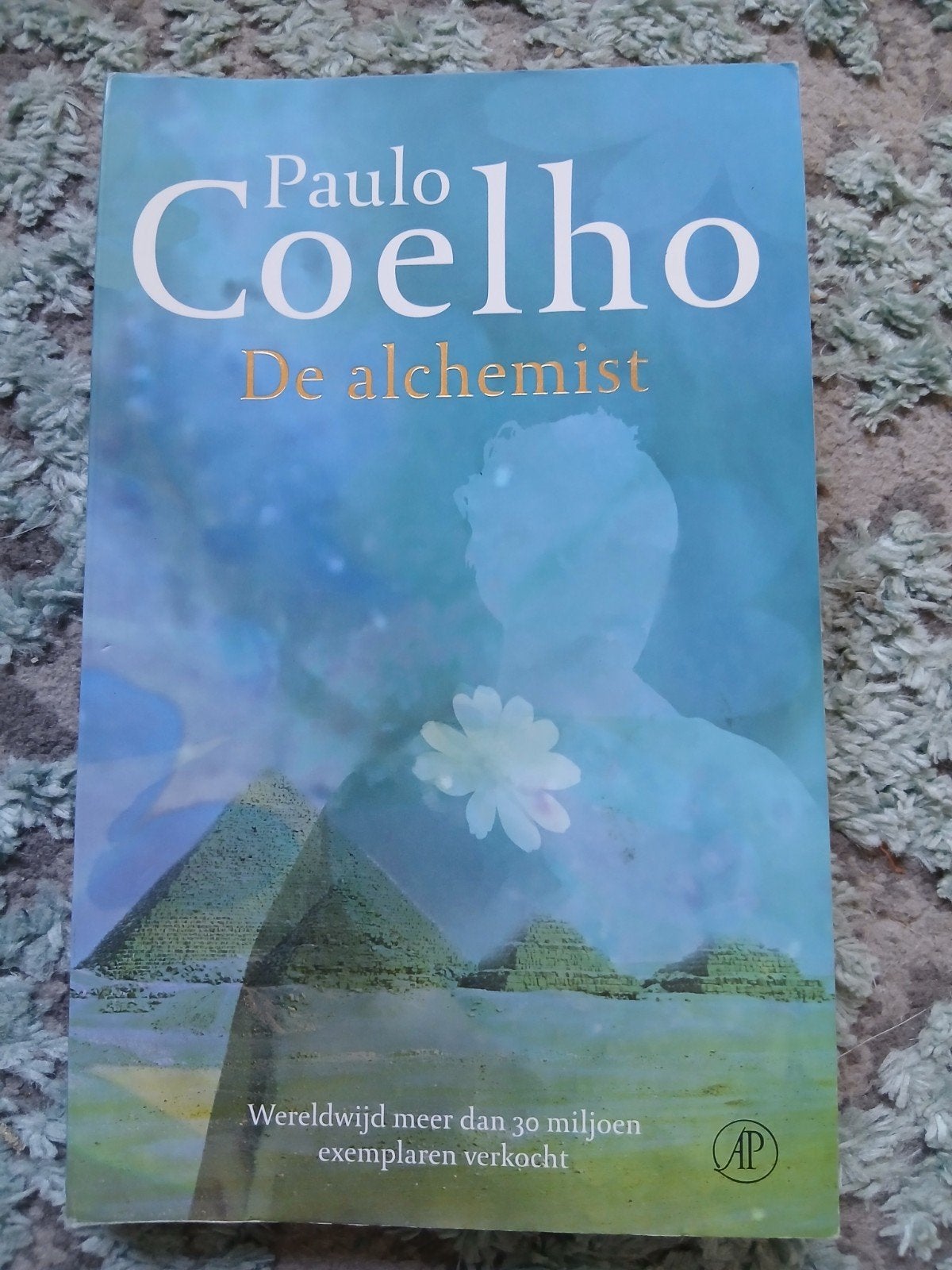 De Alchemist - Paulo Coelho (Wereldwijde Bestseller), Boeken, Ophalen of Verzenden, Gelezen, Paulo Coelho, Nederland