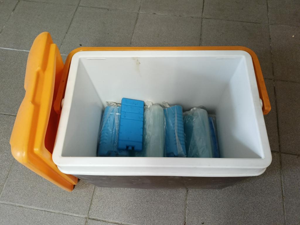 Koelbox met de nodige koelelementen, Ophalen of Verzenden, Zo goed als nieuw, Koelelement