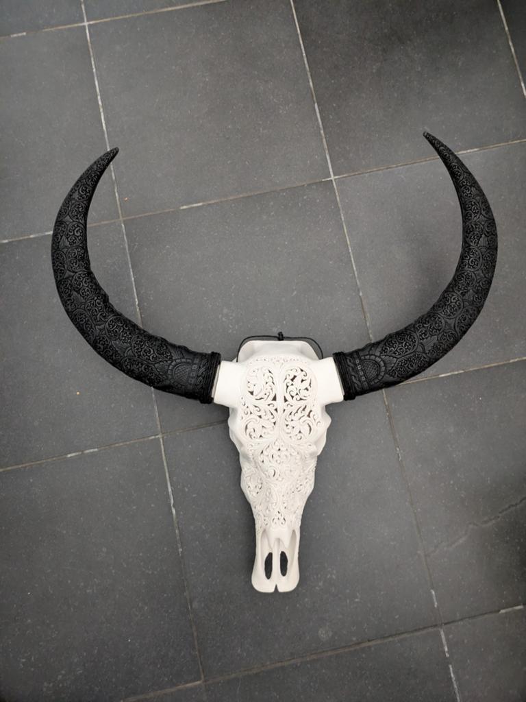Decoratieve buffel schedel met hoorns, Ophalen of Verzenden