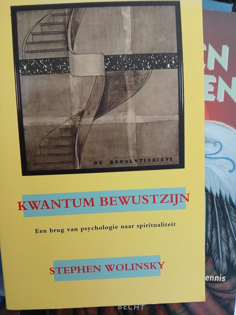 Kwantum bewustzijn-Stephen Wolinsky, Ophalen of Verzenden, Gelezen, Spiritualiteit algemeen, Achtergrond en Informatie