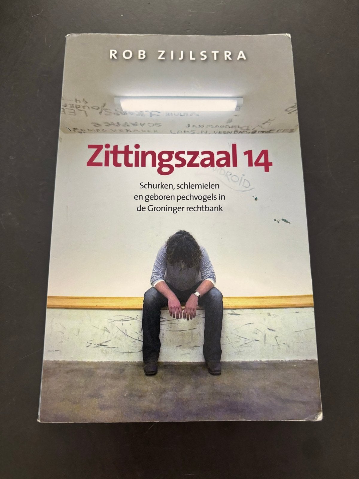 Zittingszaal 14 - Rob Zijlstra (Gelezen), Ophalen of Verzenden, Gelezen, Nederland