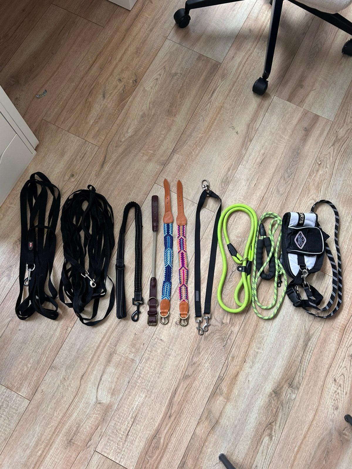 Verschillende honden spullen (riemen, halsbanden), Ophalen of Verzenden, Gebruikt