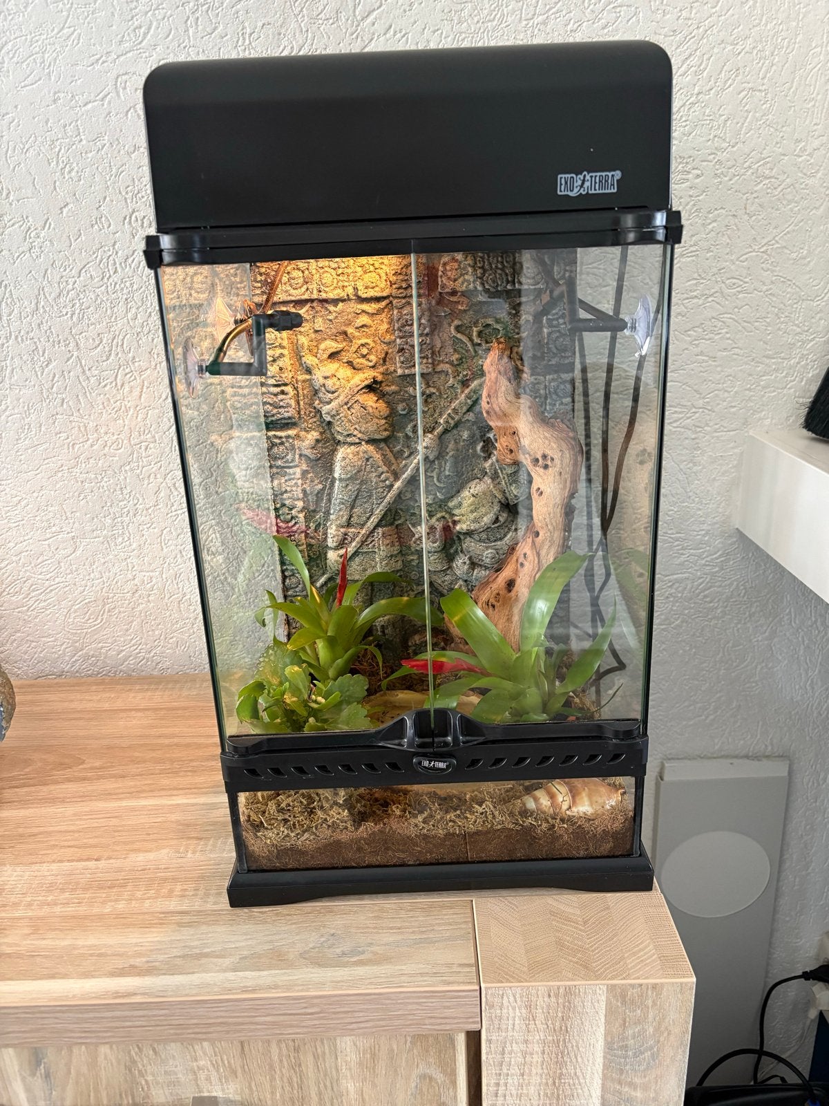 Exo terra terrarium met monsoon multi ll, 0 tot 2 jaar