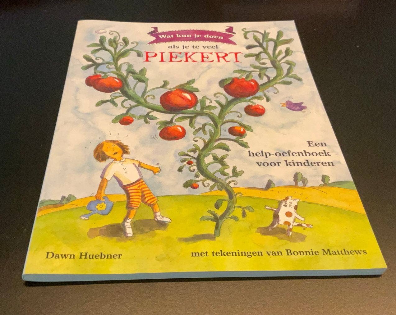 Help-oefenboek voor piekeren (voor kinderen), D. Huebner, Non-fictie, Nieuw, Ophalen of Verzenden