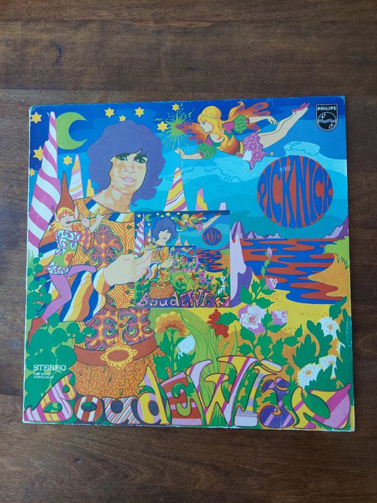 Boudewijn de Groot - Picknick (LP) - Ruist en tikt, Ophalen of Verzenden, 1960 - 1969, Gebruikt, 12 inch