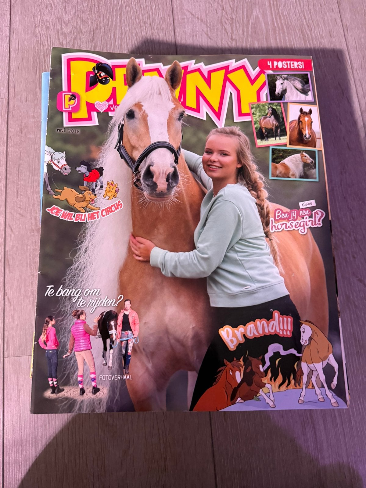 Penny 2018. Geheel compleet!!, Ophalen of Verzenden, Zo goed als nieuw