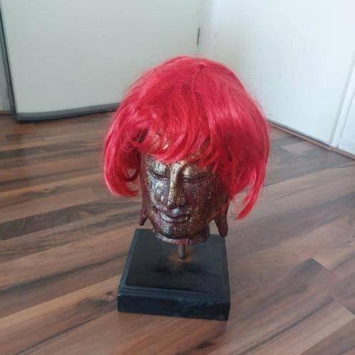 1 x Pruik, 100% Polyester, Ophalen of Verzenden, Gedragen, Carnaval