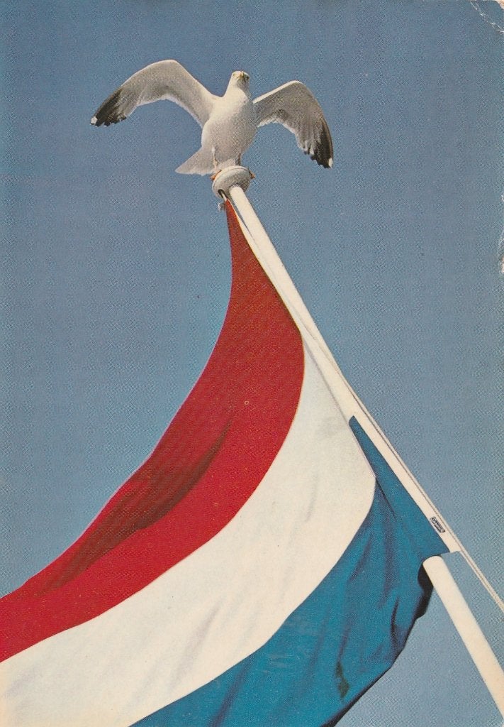 TERSCHELLING Zilvermeeuw op Vlag van de Boot, Verzamelen, Verzenden, 1960 tot 1980, Gelopen, Waddeneilanden
