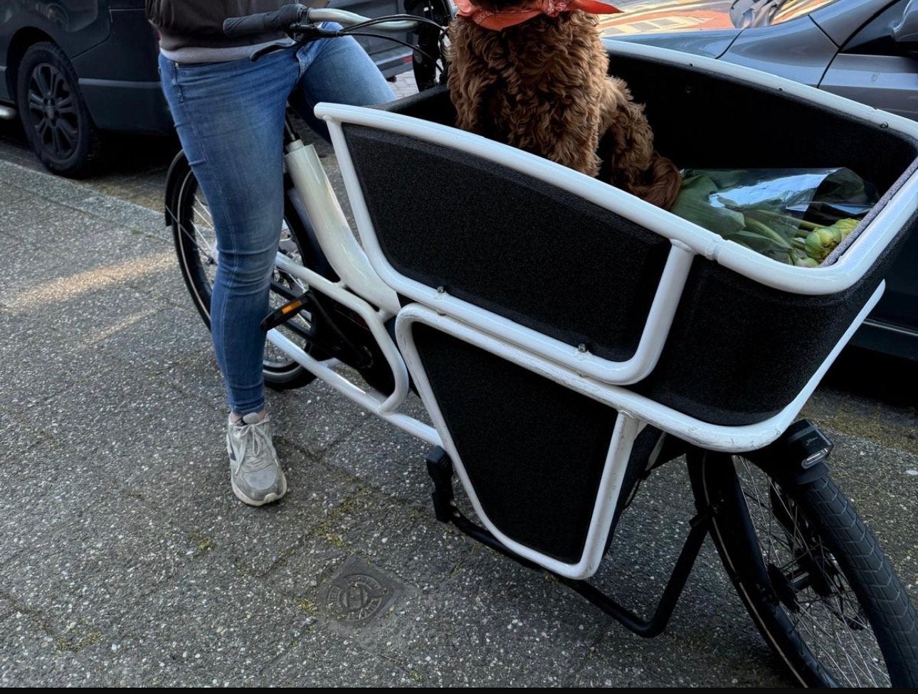 Urban Arrow Shorty bakfiets wit, Gebruikt, Goederen, Elektrisch, Ophalen