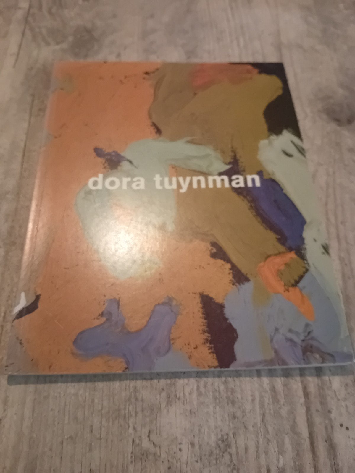 Dora Tuynman 1926-2004 - Kunstboek Erik Slagter, Ophalen of Verzenden, Zo goed als nieuw, Schilder- en Tekenkunst, Erik Slagter