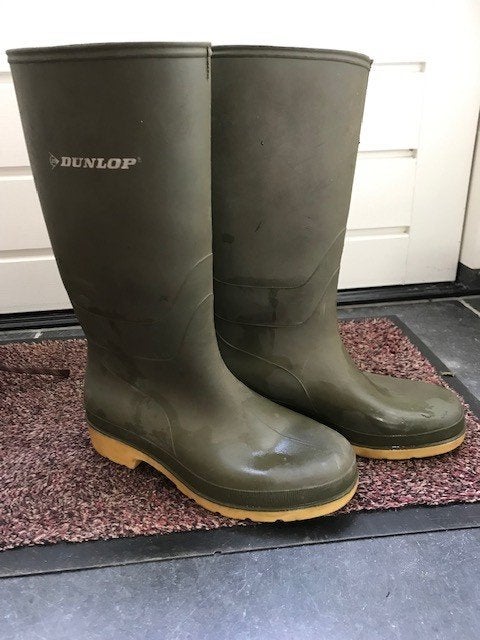 Rubberlaarzen, Ophalen, Gebruikt, Jongen of Meisje, Laarzen