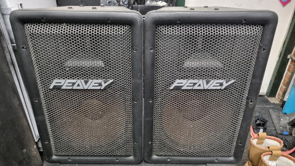 Peavey stadia ii b 2 stuks ,kunststof speakers, Gebruikt, Complete surroundset, 120 watt of meer, Ophalen