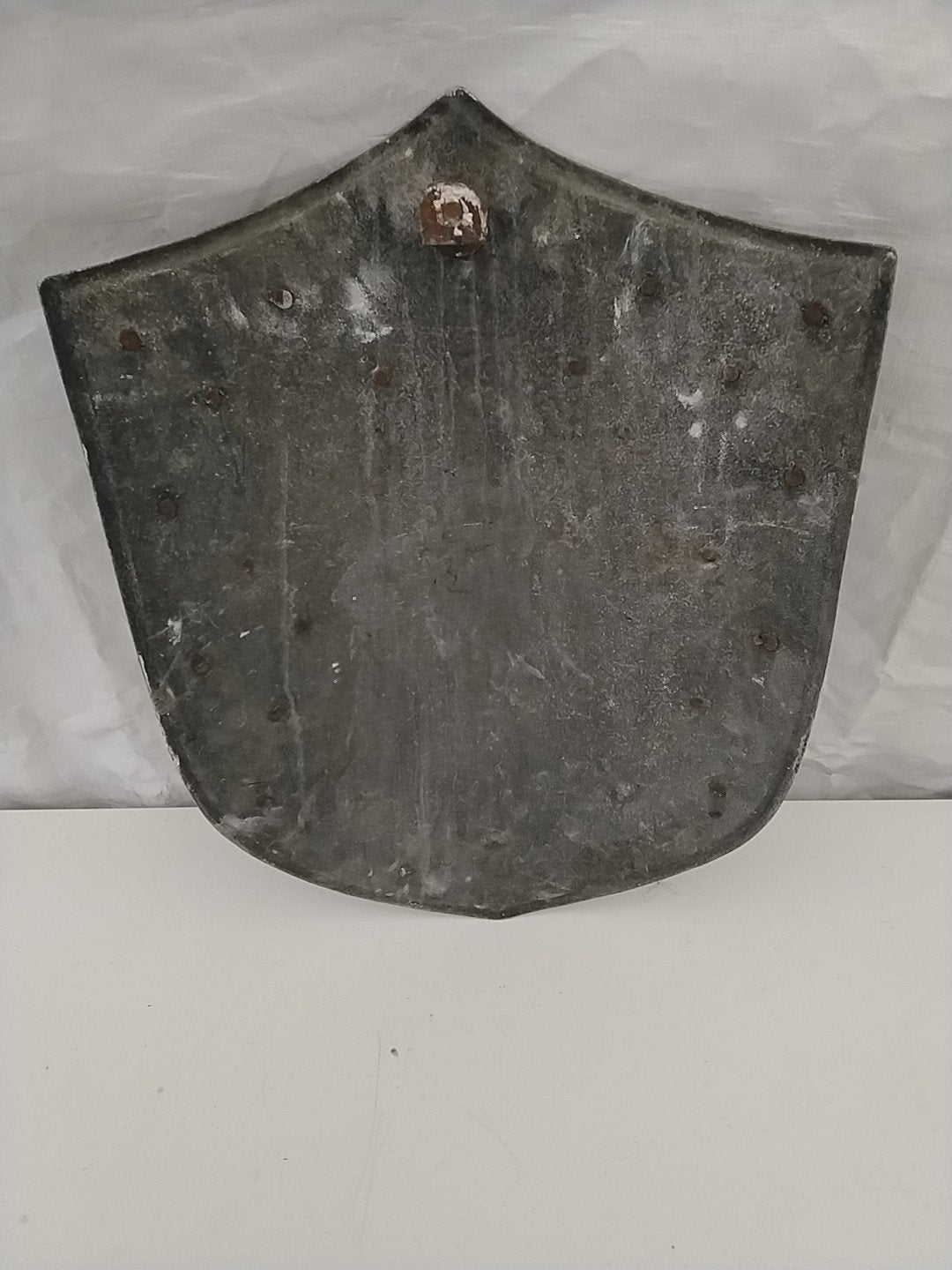 Decoratief Schild met Leeuw - 49x34 cm, Ophalen of Verzenden