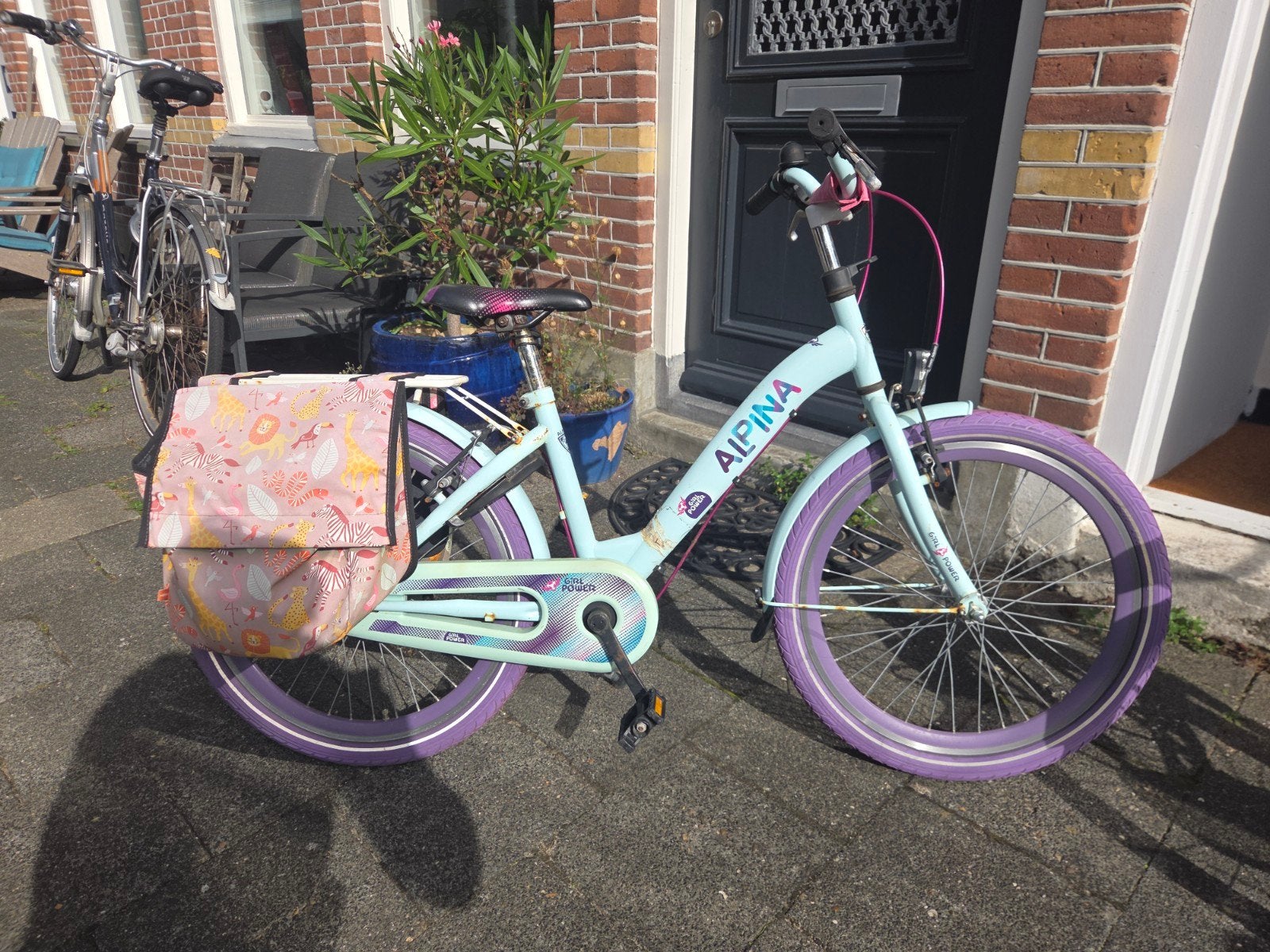 Alpina kinderfiets 22 inch met fietstassen, Ophalen, Gebruikt, Velgrem, Alpina