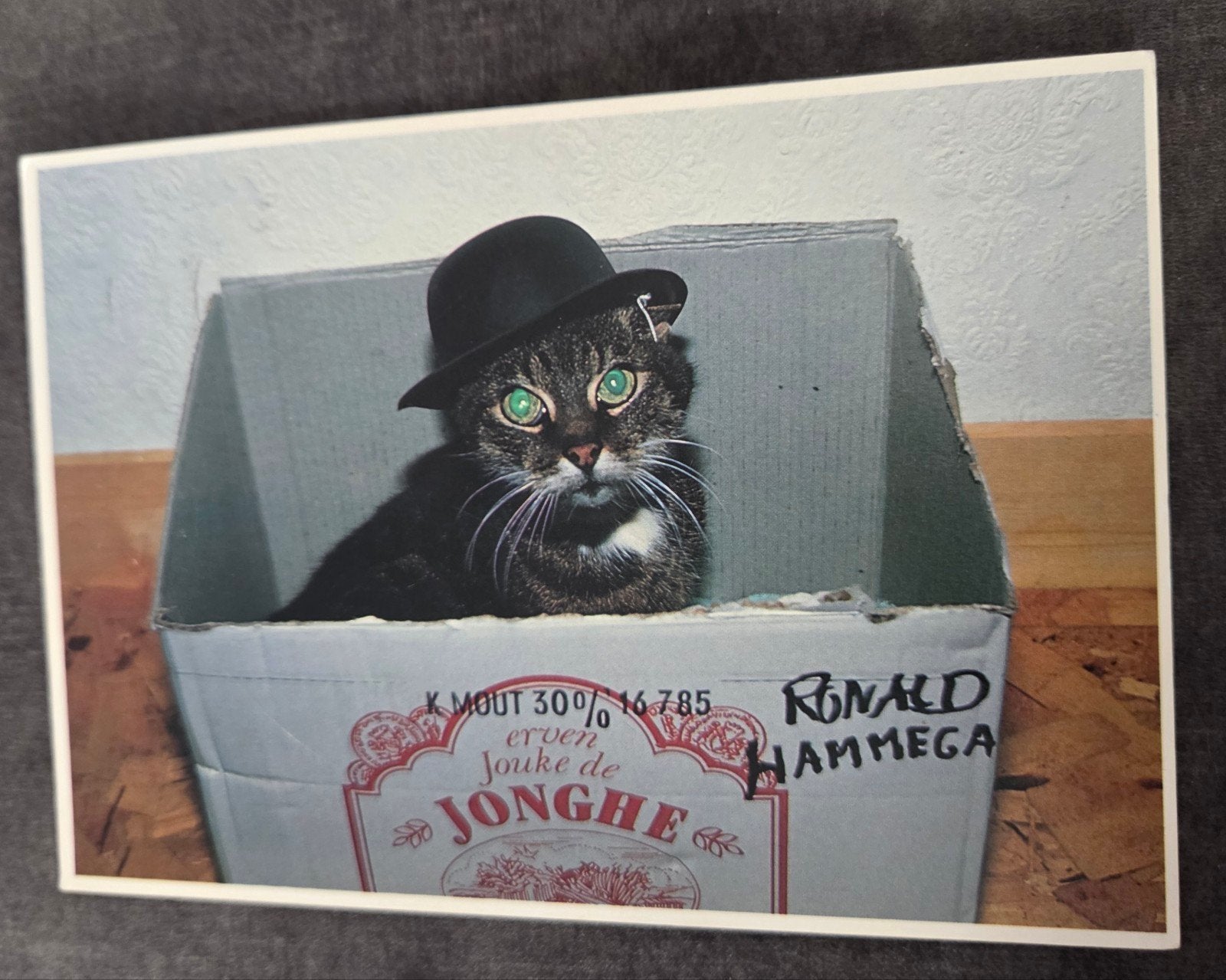 Ansichtkaart Ronald Hammega 1985 - Kat met hoed, Verzenden, 1980 tot heden, Gelopen, Hond of Kat
