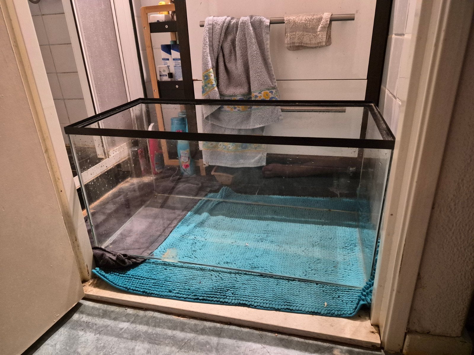 hamsterkooi van glas, Ophalen, Gebruikt