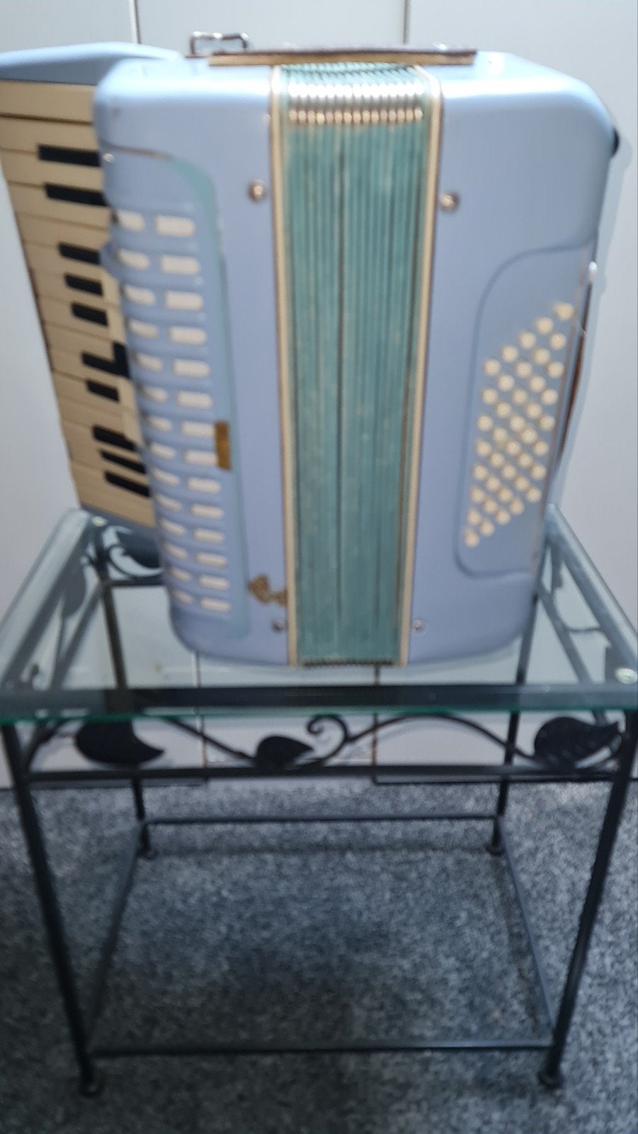 Playback accordeon met het nieuwe systeem, Ophalen of Verzenden, Nieuw, Overige merken, Met riemen