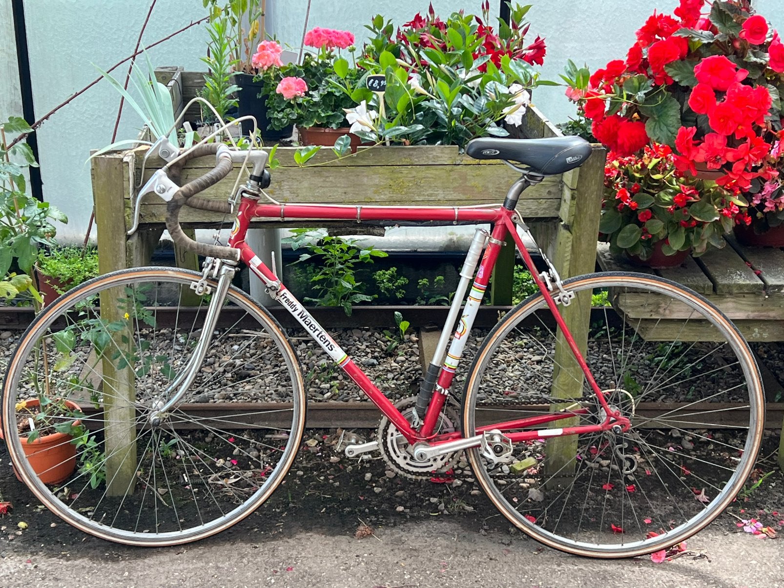 Wielrenfiets  freddy maertens €95, Ophalen, Gebruikt, Overige typen