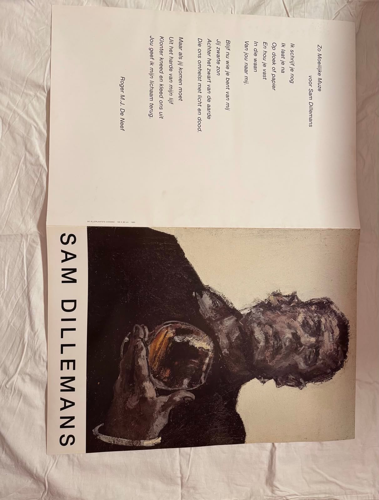 Sam dillemans, Boeken, Ophalen, Zo goed als nieuw