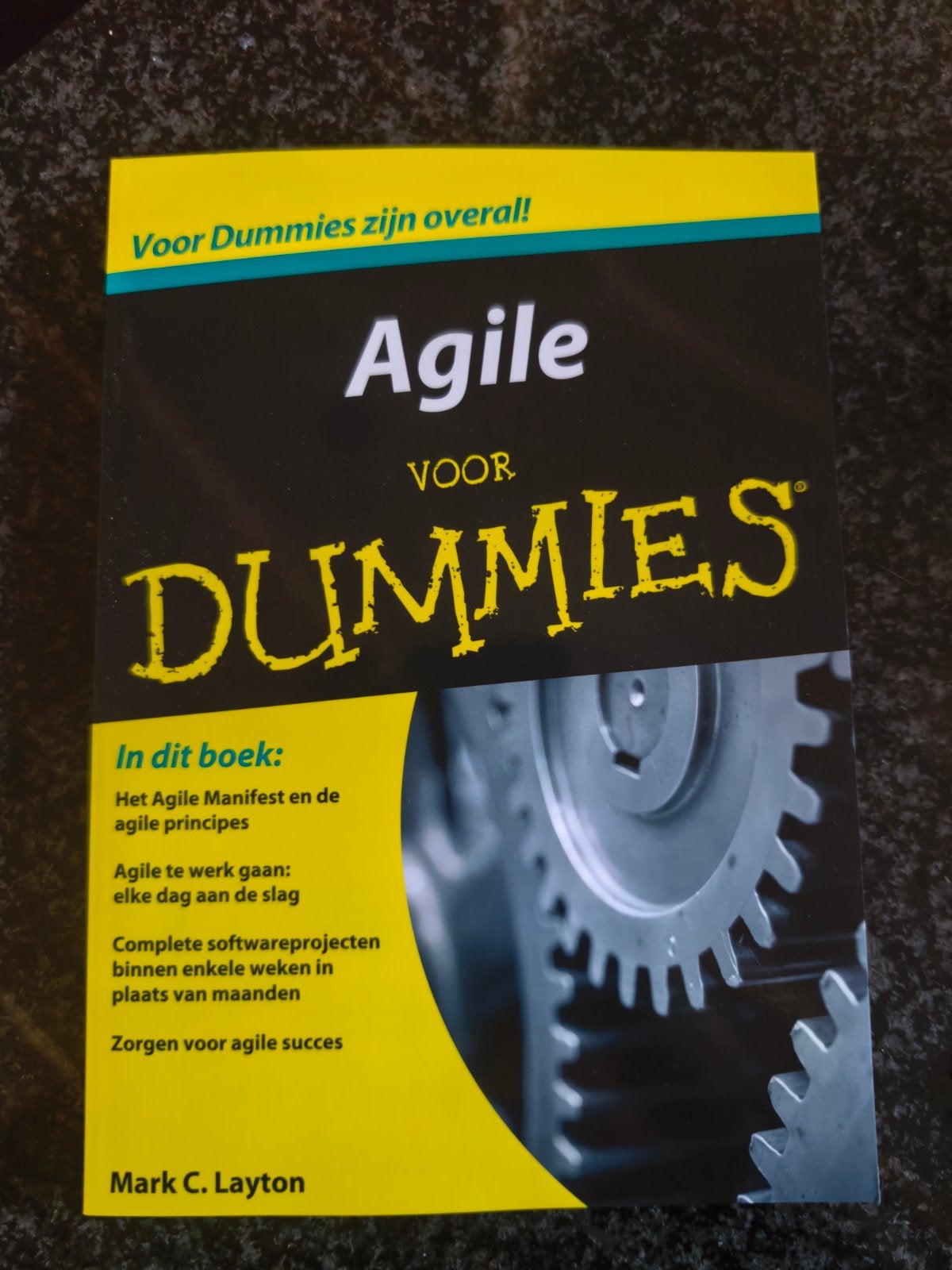 Agile voor Dummies - Gloednieuw boek over management, Ophalen of Verzenden, Nieuw, Management, Mark C. Layton
