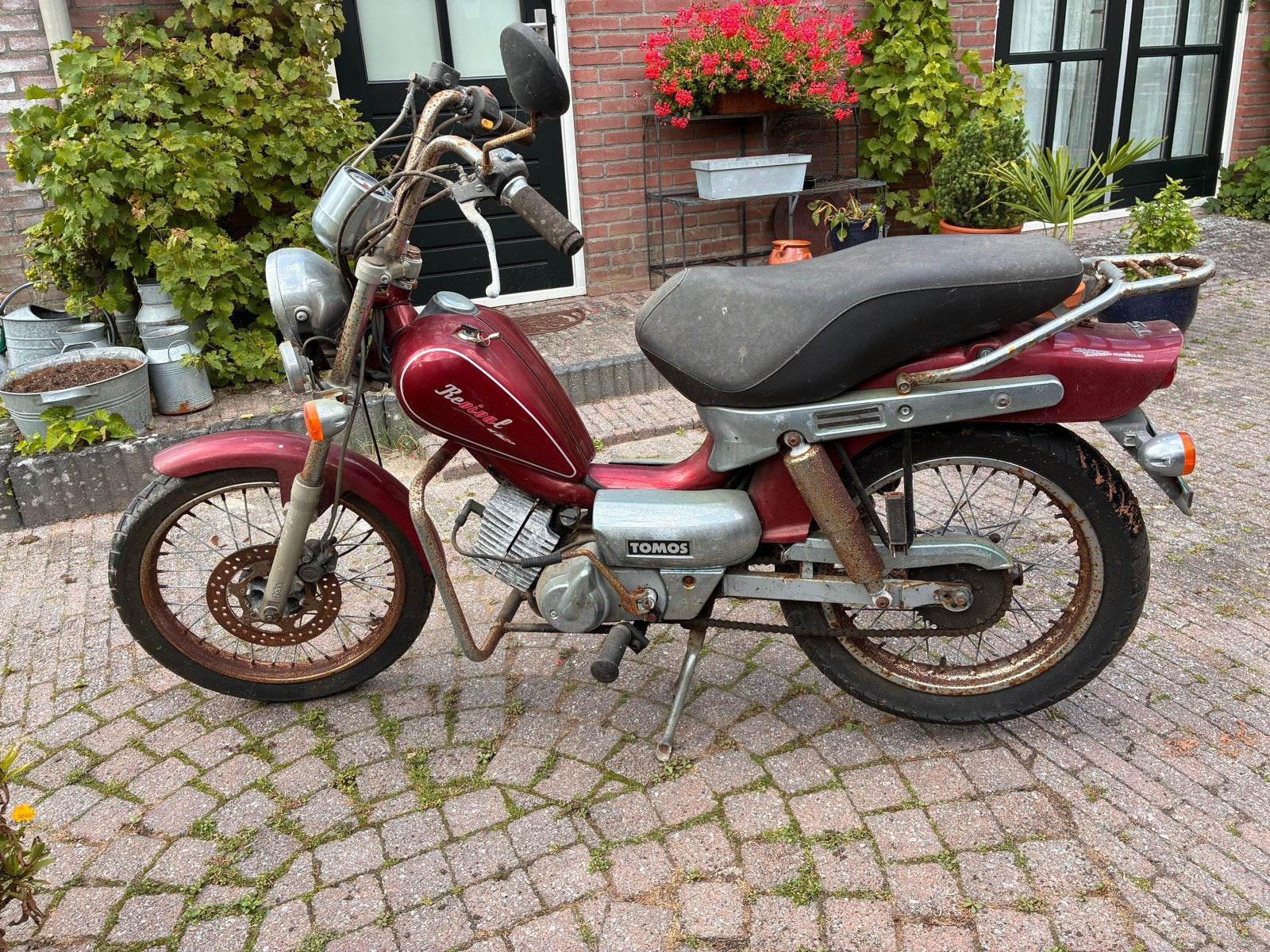 Tomos Revival TS - Opknapper, Ophalen, Gebruikt, Revival