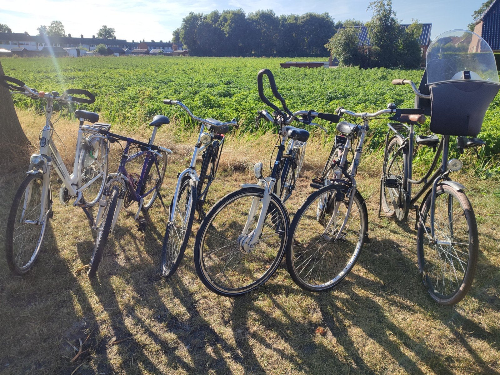 6 gebruikte fietsen, Velgrem, Versnellingen, Ophalen, Overige merken