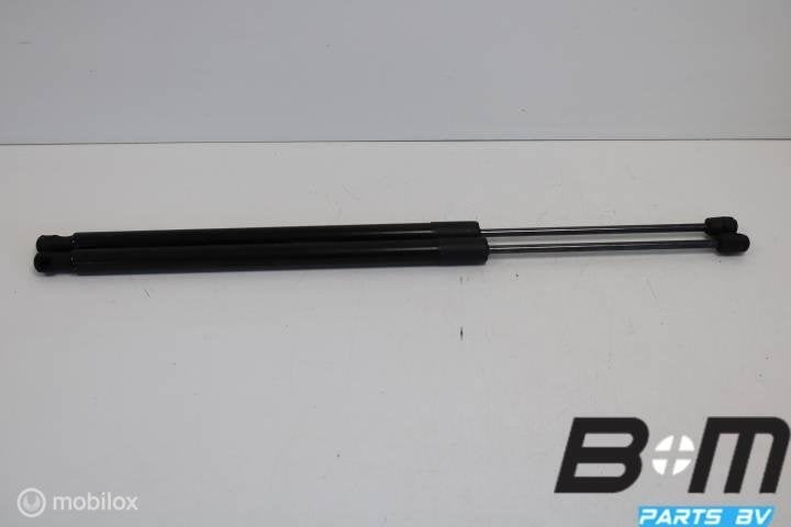 Set gasdrukveren achterklep VW Tiguan 5NA 5NA827550B, Gebruikt
