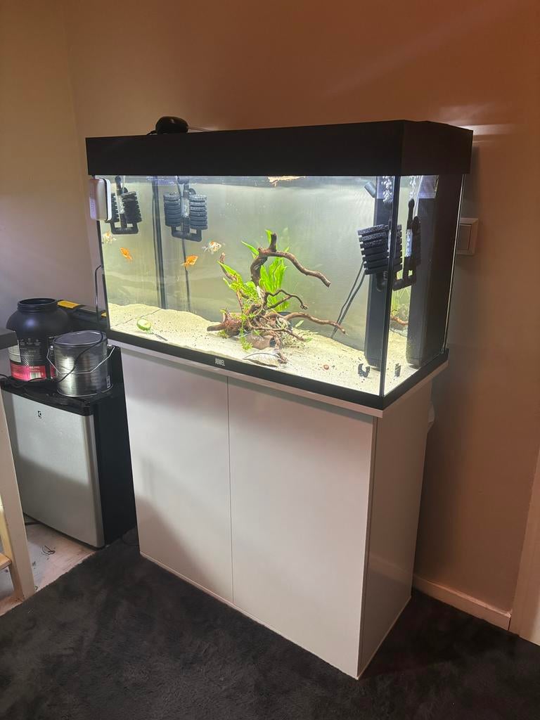 Juwel rio 125 LED aquarium met kast, Dieren en Toebehoren, Vissen | Aquaria en Toebehoren, Ophalen of Verzenden, Zo goed als nieuw