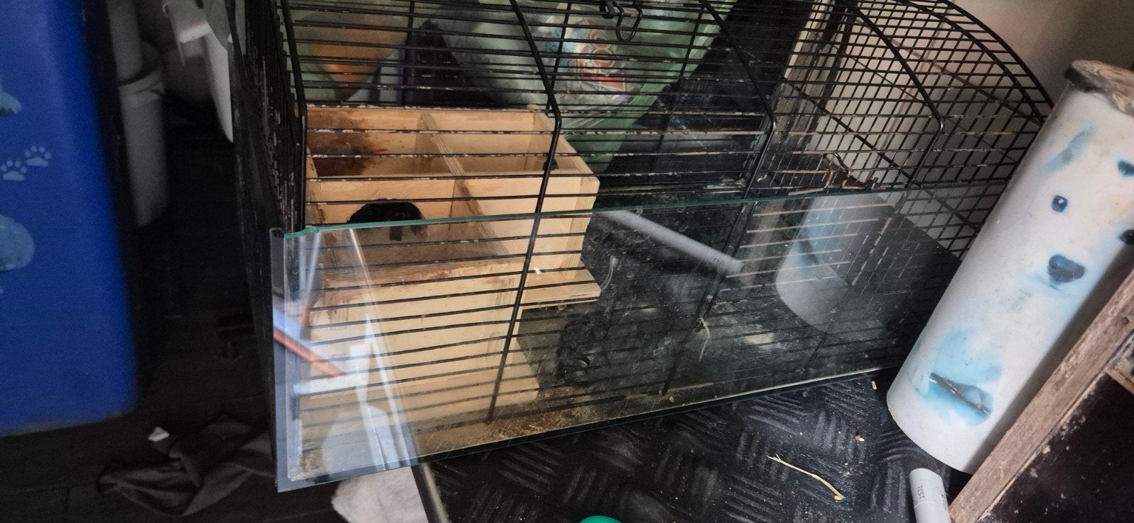 voerbakken grote hond /en hamsterkooi, Ophalen, Nieuw