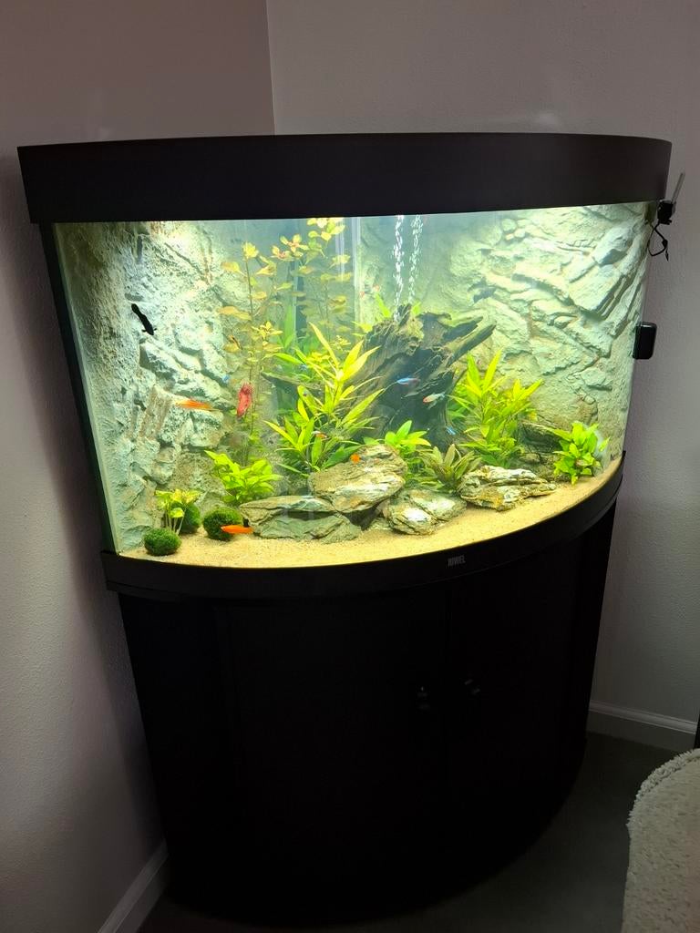 Aquarium juwel Trygon 190 met meubel, Dieren en Toebehoren, Vissen | Aquaria en Toebehoren, Zo goed als nieuw, Leeg aquarium, Inclusief deksel