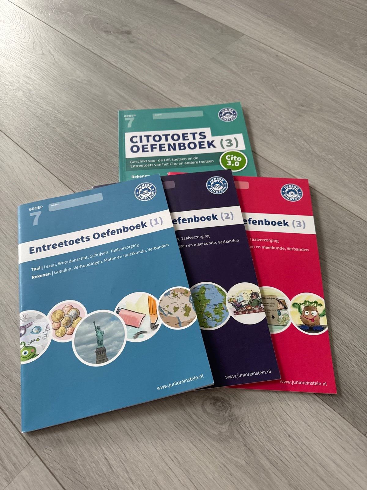 Cito Oefenboeken Groep 7 - Junior Einstein, Ophalen of Verzenden, Nieuw, Overige niveaus, Nederlands