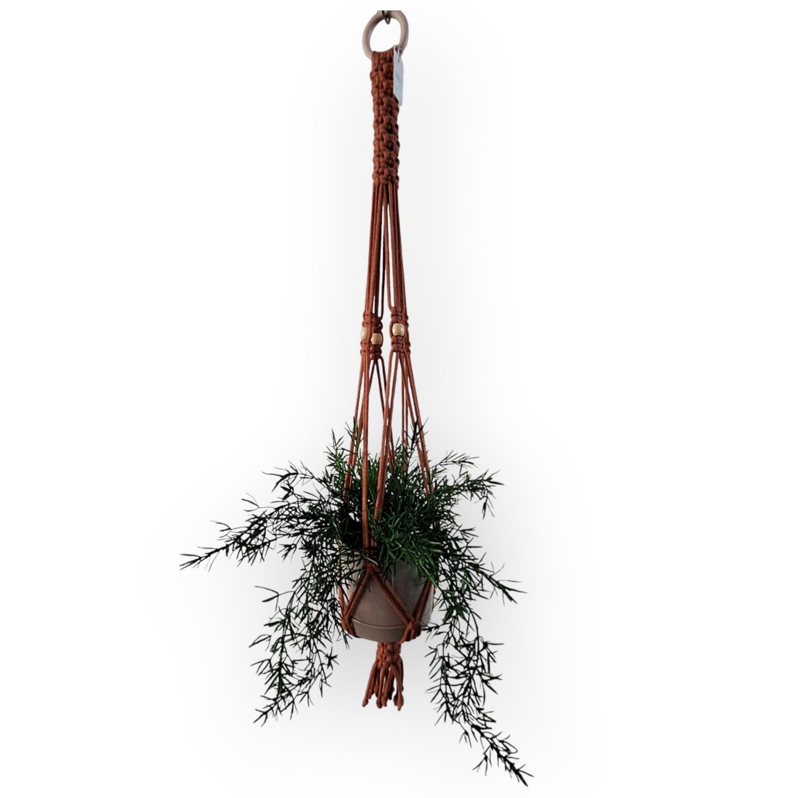 Mooie plantenganger incl. bloempot, nieuw, Ophalen of Verzenden, Halfschaduw, Minder dan 100 cm