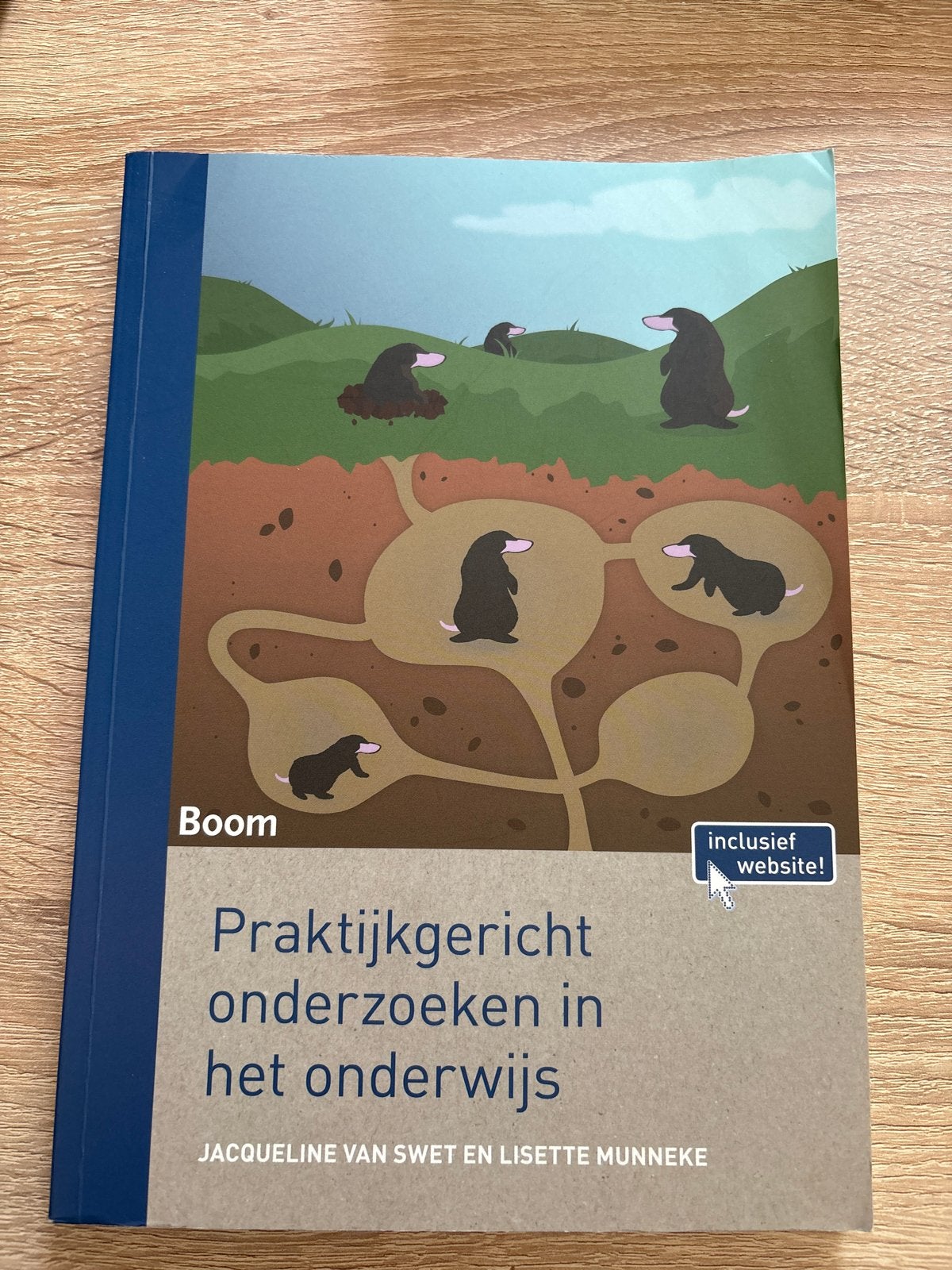 Praktijkgericht onderzoeken in het onderwijs, Ophalen of Verzenden, Gamma, Zo goed als nieuw, HBO