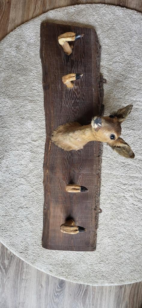 Opgezette Reekop met Poten op Houten Plaque, Ophalen, Gebruikt