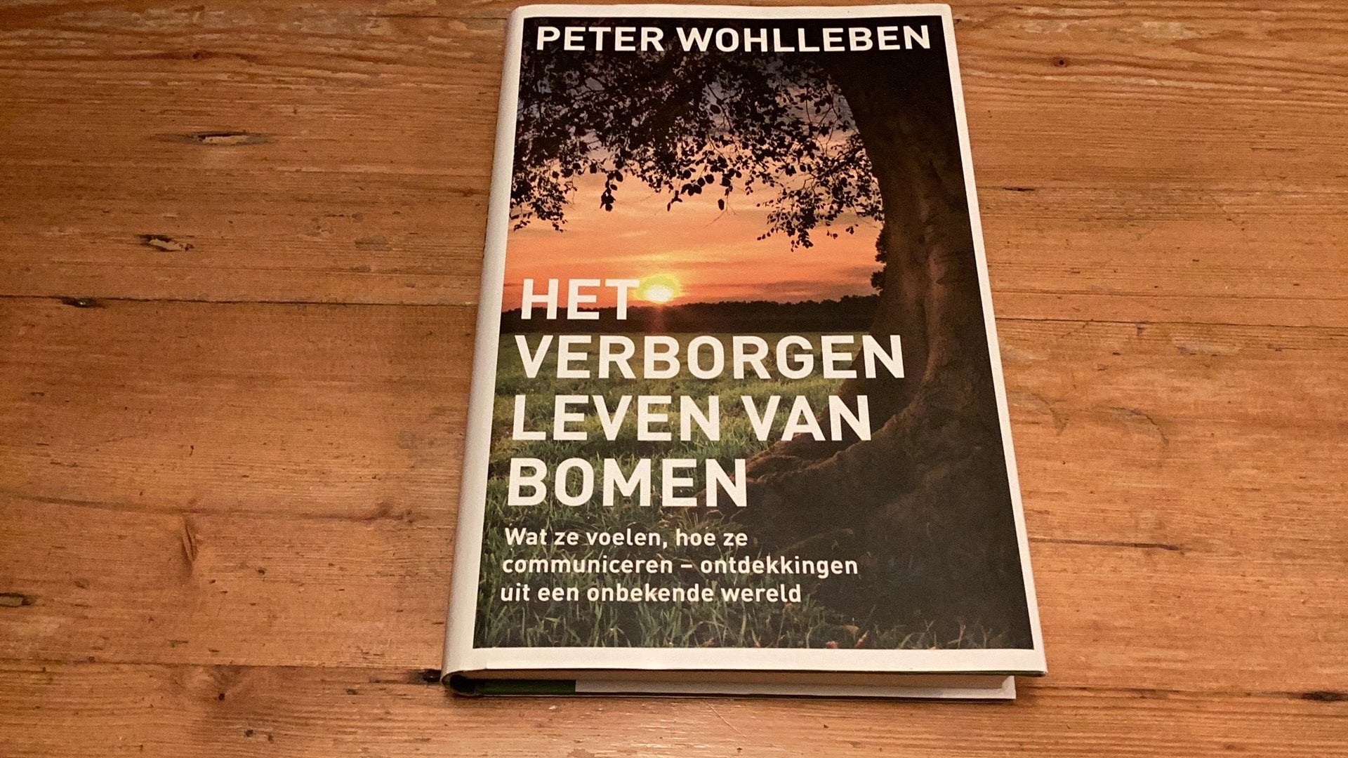 HET VERBORGEN LEVEN VAN BOMEN - Peter Wohlleben - nieuw boek, Bloemen, Planten en Bomen, Peter Wohlleben, Nieuw, Ophalen of Verzenden