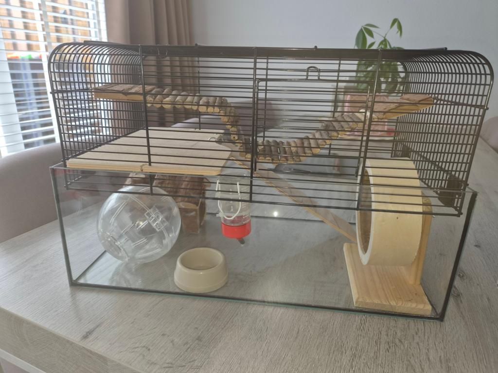 Hamsterkooi met toebehoren, Kooi, Gebruikt, Minder dan 75 cm, Ophalen